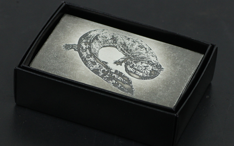 オオサンショウウオの名刺入れ・カードケース。名刺が曲がらない金属製の名刺入れに、エッチングと銀メッキでオオサンショウウオをデザインしました。